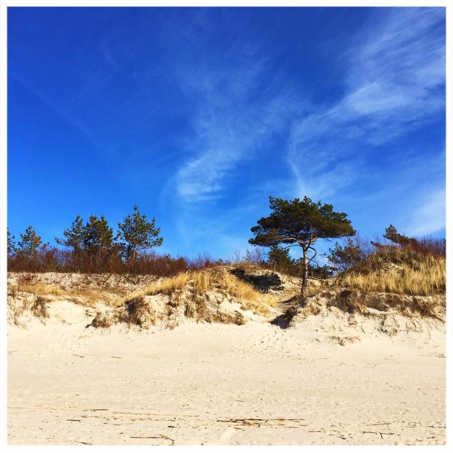 Vitavila Palanga Eksteriør billede